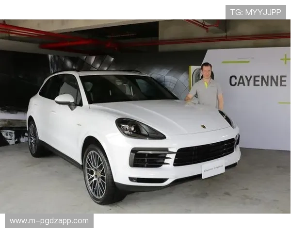 如何通过保时捷PG官网入口快速获取售后服务与车辆信息